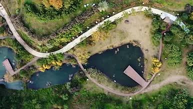 4k航拍俯瞰城市湿地公园唯美风光视频的预览图